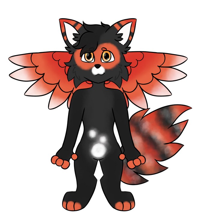 Kyle [Cross Fox/Magpie Hybrid Design - Off-Base]